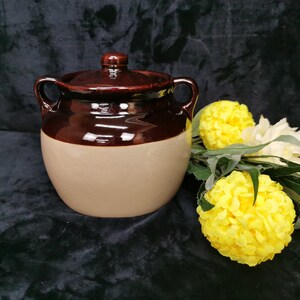 Pode incluir: Um pote de cerâmica marrom e bege com tampa. O pote tem duas alças nas laterais. O pote está sobre uma superfície preta com flores amarelas.