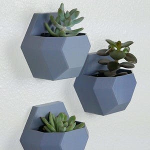 May include: Three geometric wall planters in a light blue colour, each with a different succulent plant. The planters are made of a smooth, matt material and have a hexagonal shape.