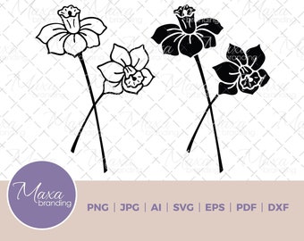 Daffodil Flower Clipart: Narcissus Vector Graphics (Digital Download)