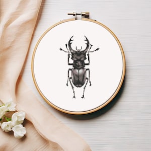 Kever kruissteekpatroon PDF - direct downloaden - insect borduurwerk natuur bug moderne realistische heksencottagecore grafiek minimalistisch #CS92