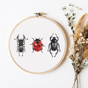 May include: A white embroidery hoop with three embroidered insects: a black stag beetle, a red ladybug, and a black beetle.