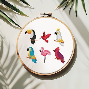 Puede incluir: Un aro de bordado de punto de cruz con fondo blanco e imágenes coloridas de diferentes pájaros. Los pájaros incluyen un tucán, un colibrí, una cacatúa, una guacamaya azul y amarilla, un flamenco rosado y un cardenal.