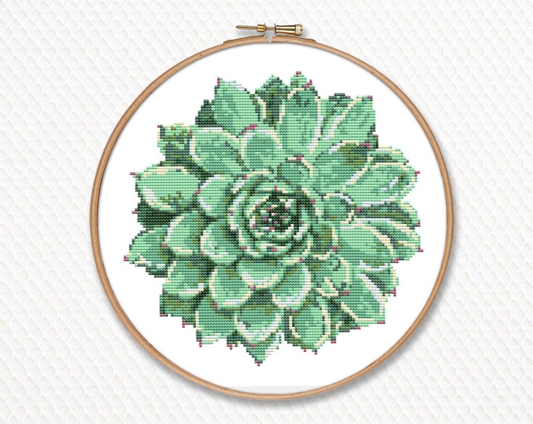 Succulent Cross Stitch Pattern PDF Embroidery Modern Instant Etsy