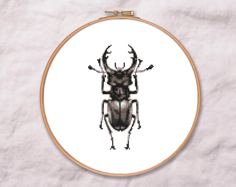Beetle Cross Stitch Pattern PDF Instant Download Insect Etsy