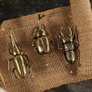 Insektenknöpfe Ziehgriffe, antike Messingschranktürgriffe, individuell gravierte Käfermöbelbeschläge, Schranktürknauf, Kommodenknöpfe
