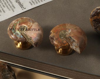 Nautilus shell fossils knobs,Cabinet Nursery knob,Custom Engraved Drawer handle,Cupboard Door Pull,Wardrobe door pull,Dresser Closet knob