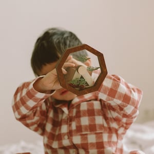 May include: A wooden toy with a geometric frame, containing a miniature mountain scene with a wooden house, greenery, and red accents. The frame is held up by a person wearing a red and white plaid shirt.