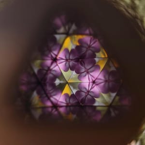 May include: A view through a kaleidoscope showing a repeating geometric pattern of purple flower petals. The central design features a symmetrical arrangement of violet-colored floral shapes reflected against yellow and white triangular segments.