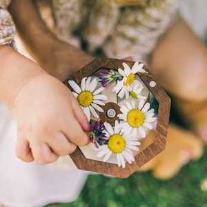 May include: A hexagonal wooden frame with a clear top surface containing several white daisy flowers with yellow centers and small purple wildflowers. The frame features a central circular wooden piece secured with a small silver metal screw.