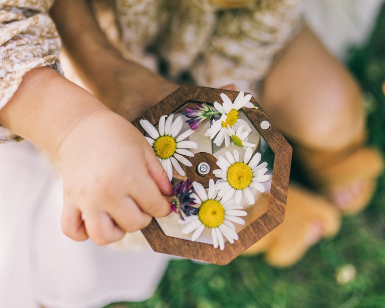 May include: A hexagonal wooden frame with a clear top surface containing several white daisy flowers with yellow centers and small purple wildflowers. The frame features a central circular wooden piece secured with a small silver metal screw.