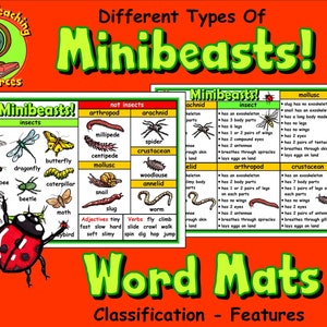 Pósteres de insectos Minibeasts, sugerencias de escritura, recursos didácticos sobre la clasificación de animales científicos, descarga instantánea e imprimible.