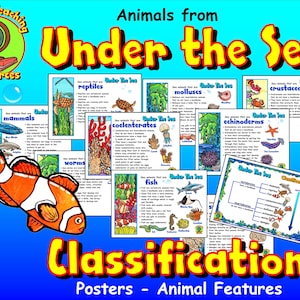 Puede incluir: Carteles educativos coloridos con ilustraciones de varias criaturas marinas, incluyendo peces, mamíferos, reptiles, moluscos, crustáceos, equinodermos, celentéreos y gusanos. Los carteles están etiquetados con el título "Bajo el mar" y la clasificación "Animales del mar".