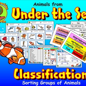 Classification des animaux marins et océaniques, activité de tri, ressources pédagogiques sur la classification des animaux scientifiques, téléchargement immédiat