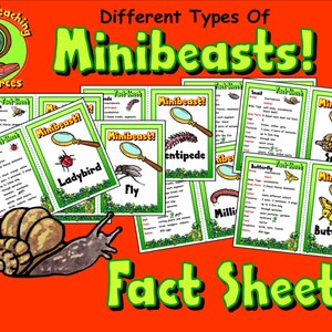 Informatiebladen over Minibeasts-insecten, lesmateriaal Science Minibeasts-insects, afdrukbare Instant Download