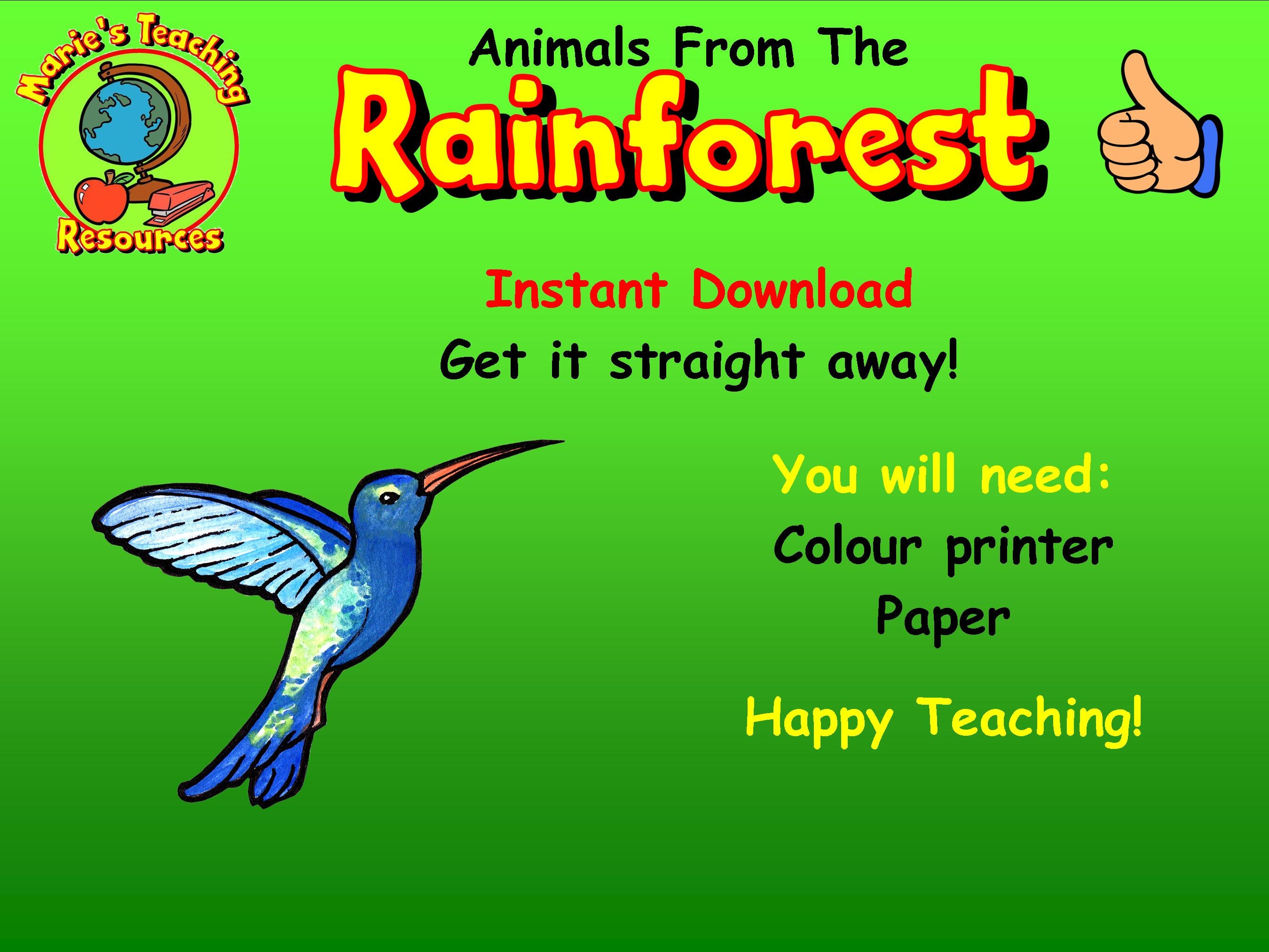Amazon Rainforest Worksheets, Geography Climate and Environment ...