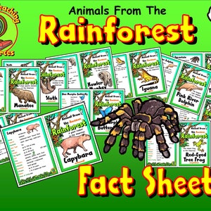 Dieren Amazone-regenwoud factsheets, kenmerken diëten habitats, wetenschap leermiddelen dierenclassificatie, afdrukbare Instant Download