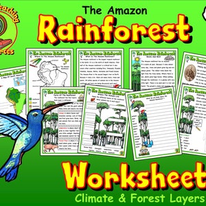 May include: A set of colorful worksheets for kids about the Amazon rainforest. The worksheets feature a hummingbird, a map of South America, and illustrations of the rainforest's different layers. The text on the worksheets includes the title "The Amazon Rainforest" and the words "Climate & Forest Layers".
