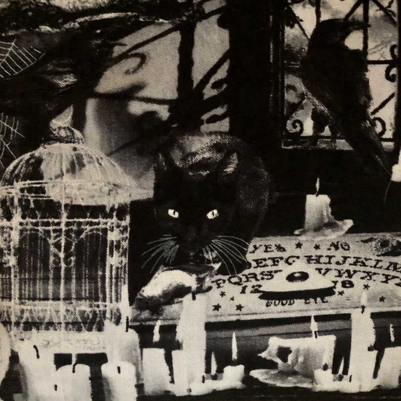 以下が含まれることがあります： 黒猫、鳥かご、ウィジャ盤の白黒写真。猫は直接見ています。鳥かごは空です。ウィジャ盤はろうそくのあるテーブルの上にあります。