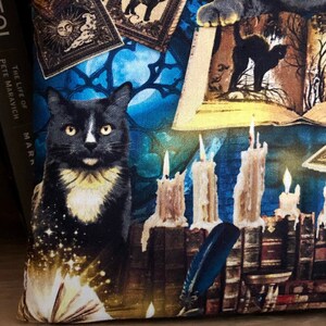 Op de afbeelding: Een zwarte kat met witte vacht op zijn borst zit voor een stapel boeken en kaarsen. De achtergrond is een blauw en gouden patroon met een maan en sterren. De tekst "The Life of Pete Maravich" is zichtbaar aan de linkerkant van de afbeelding.
