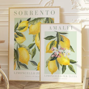 Citroen aquarel print set, Amalfi en Sorrento, botanische kunst (digitale download)