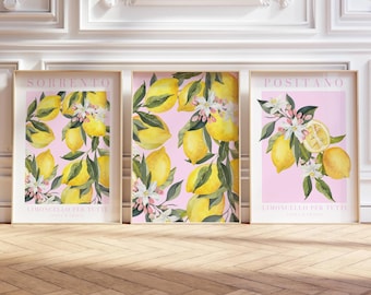 Watercolor Lemon Print Set, Pink Botanical Wall Art (Digital Download)