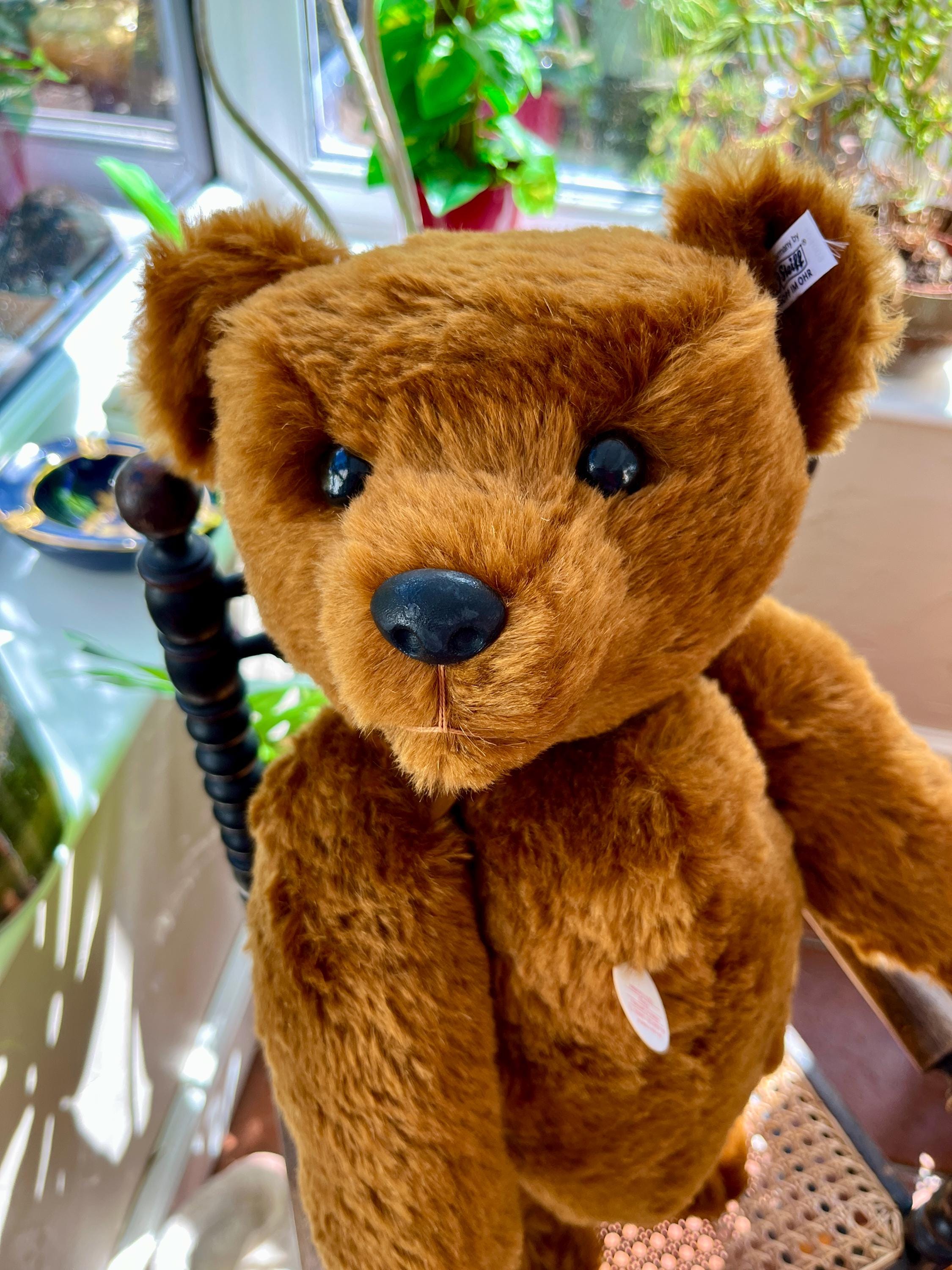 Steiff Replica Bears - Etsy