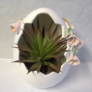 May include: White ceramic egg-shaped planter with a crack down the side, decorated with pink flowers. The planter is filled with a green succulent plant.