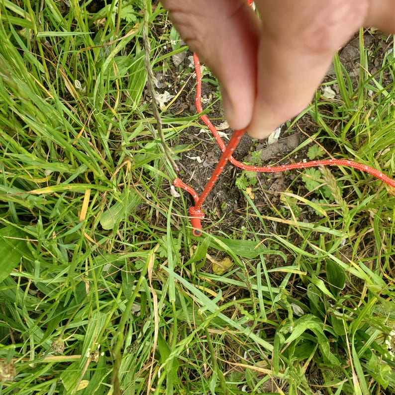 May include: A bright orange cord with a small, cylindrical orange plastic toggle or fastener attached to one end, featuring a thin black circular detail on the tip, positioned against a background of green grass and soil.