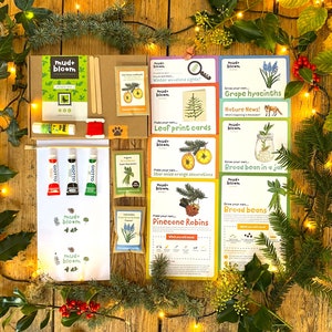 Mud & Bloom December Box: Award-winning children's gardening and nature activity box for 3-8 year olds | Eco-friendly gift for kids