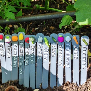 May include: A set of twelve grey garden plant markers, each featuring a small, colourful 3D vegetable or fruit topper and the corresponding name printed in white text: Radish, Turnip, Pumpkins, Butternut Squash, Tomatoes, Broccoli, Garlic, Okra, Peas, Beetroot, Cauliflower, Carrots, and Cucumber.