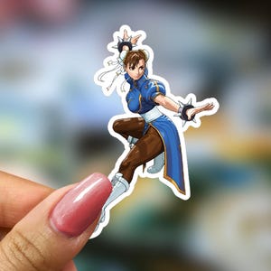 Chun-Li Street Fighter Vinyl Sticker, Decal, Laptop Sticker, Water Bottle Sticker, Free Shipping, Car Sticker, Lunch Box Sticker, Arcade