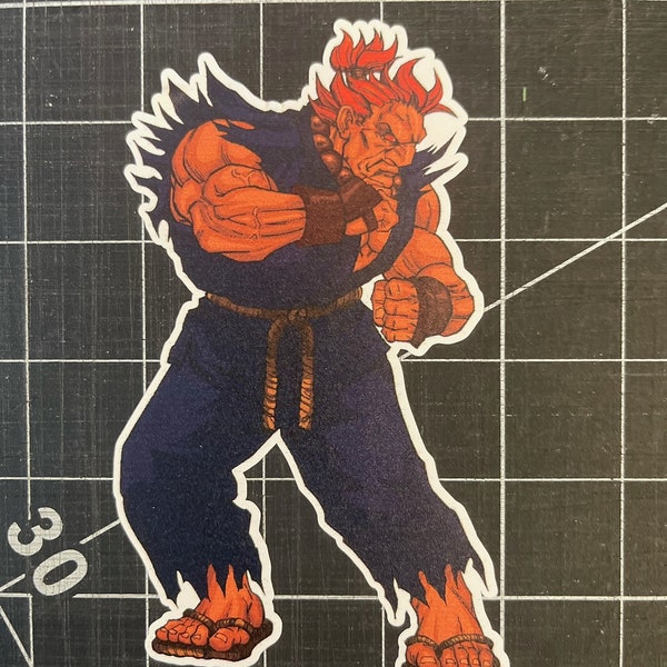 Akuma Street Fighter Sticker Decal Laptop Sticker Water Bottle Sticker Free Shipping Car Sticker Lunch Box Sticker Arcade cabinet decal