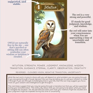 Spirit Animal Oracle Deck con guida, download digitale download immediato
