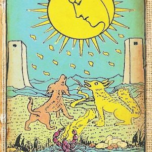 New Moon Tarot Reading