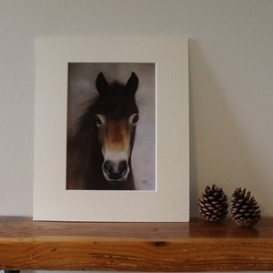 Exmoor pony print