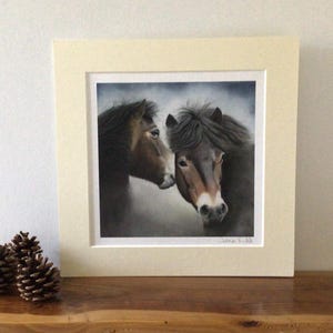 Exmoor pony print