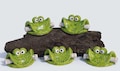 Frog for money or voucher