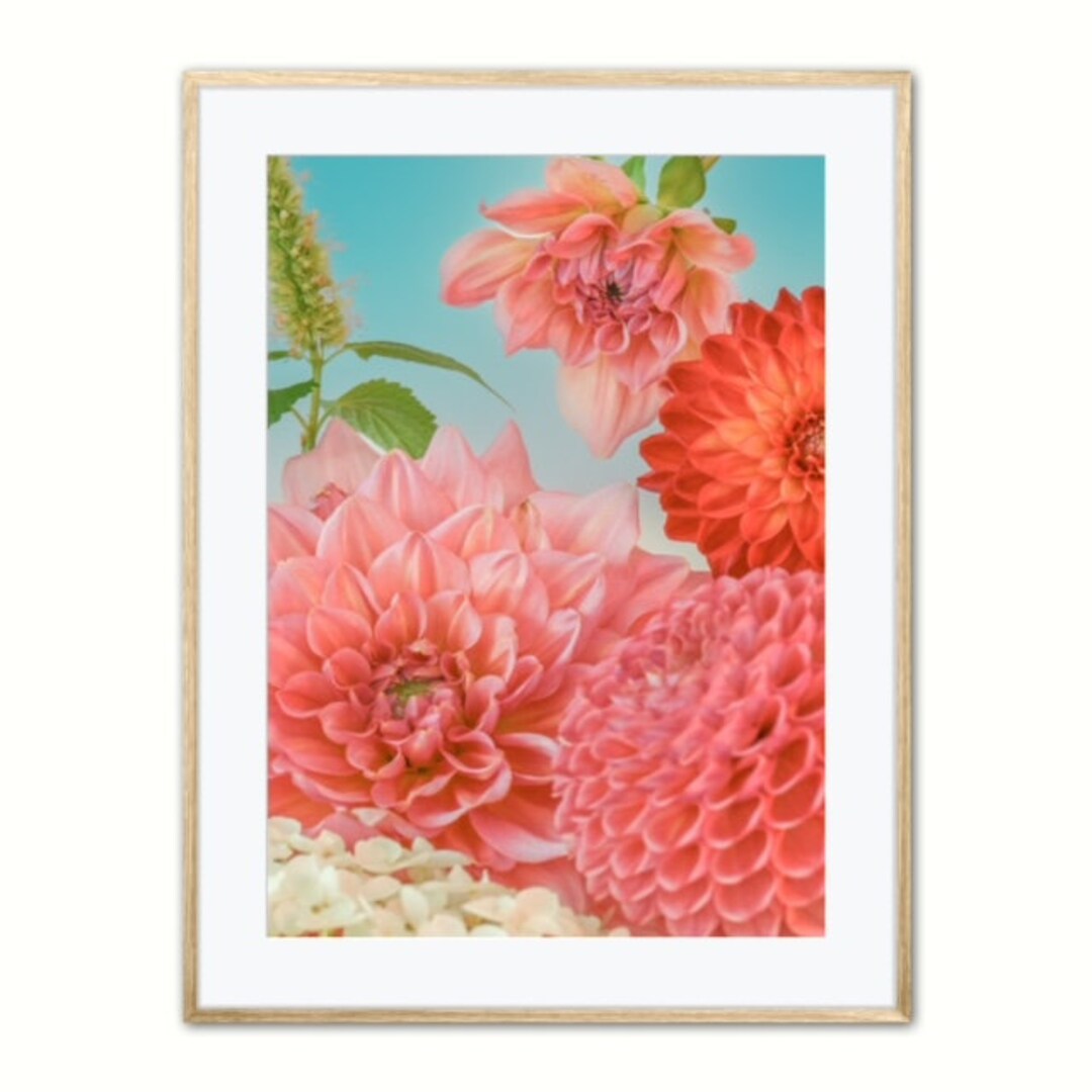 Wall Art Downloadable Flower Photo Flower Wall Artwork Etsy