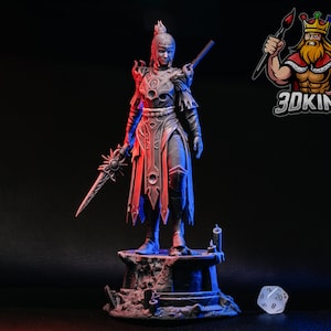 Shadowheart - half-elf Cleric of Shar - 3D Geprinte Fantasy Miniatuur - 1:10 of buste - DnD Tabletop Gaming - Baldur&#39;s Gate 3 fan art figuur