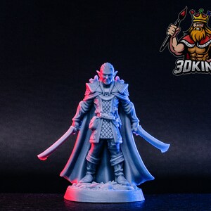 Evendil Gennala Elf Warrior - Elendil - Drizzt - RN Estudio - Fantasy Miniature - 3D Resin Printed 28-32mm - 75mm - DnD Tabletop Gaming