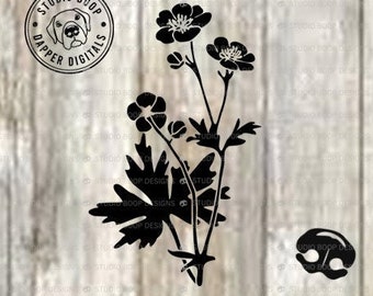 Flower SVG  for Gift Idea Buttercups  SVG & PNG Digital Download  Ready to Cut Files