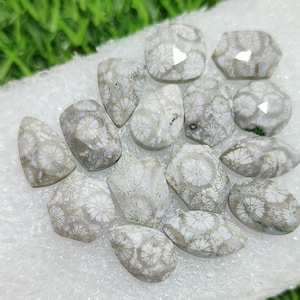 Fossil Coral Natural Fossil Coral Rose Cut Mix Shape Flat Backs Lot Gemstone, 50.00 Caret Size 14 mm To 10 mm For Making Jewelry Ring Size,