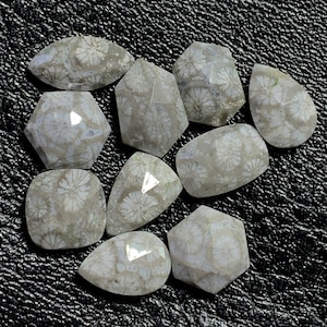 Fossil Coral Natural Fossil Coral Rose Cut Mix Shape Flat Backs Lot Gemstone, 33.00 Caret Size 10 mm To 14 mm For Making Jewelry Ring Size,