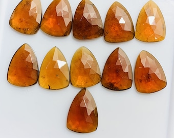 Pode incluir: Doze pedras preciosas de forma triangular, facetadas, de cor marrom alaranjada. As pedras preciosas estão dispostas em três filas sobre uma superfície branca.
