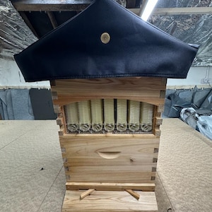 Puede incluir: Una colmena de madera con techo negro y emblema dorado. La colmena tiene múltiples marcos visibles a través de una ventana y una pequeña entrada. La colmena está hecha de madera clara.