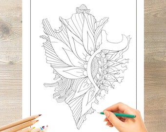 Seashell Coloring Page - Original Hand Drawn Design by Elisa Fasulo - Digital Download