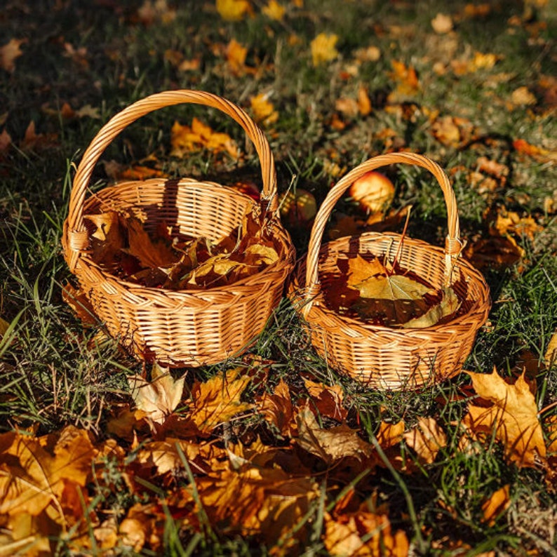 Small Easter Basket Wicker Basket 6 Variants Easter Egg Basket Natural Brown Wicker Lightweight & Handwoven image 10