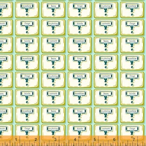 Catálogo de cartões da escola de verão Pond 52462-7 Projetado por Judy Jarvi para Windham Fabrics