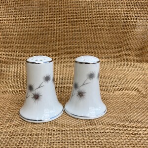 May include: Two white ceramic salt and pepper shakers with a silver trim and a floral pattern. The floral design features grey and red starburst shapes with thin grey stems. The shakers are on a brown burlap surface.
