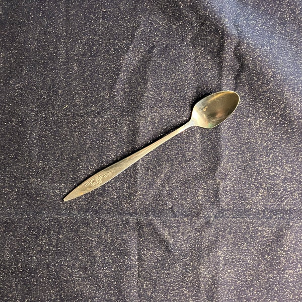 Deluxe Stainless Taiwan Santibabe Spoon